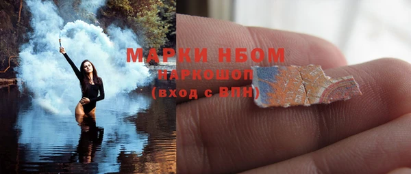 индика Магас