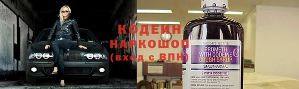 индика Магас