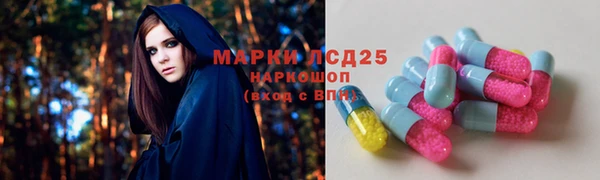 шишки Магадан