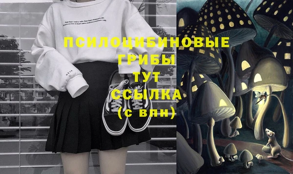 шишки Магадан