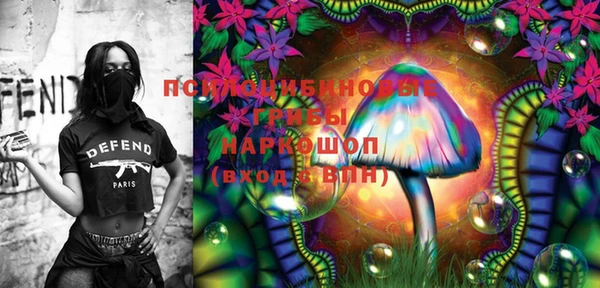 индика Магас