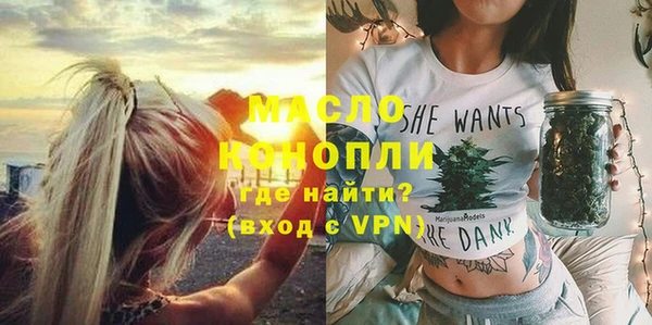 индика Магас