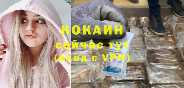 шишки Магадан