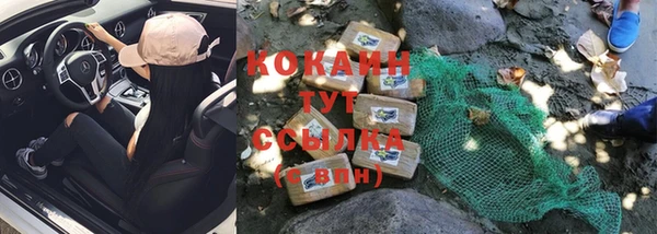 шишки Магадан