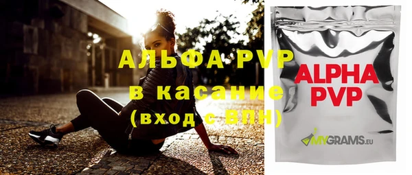 индика Магас